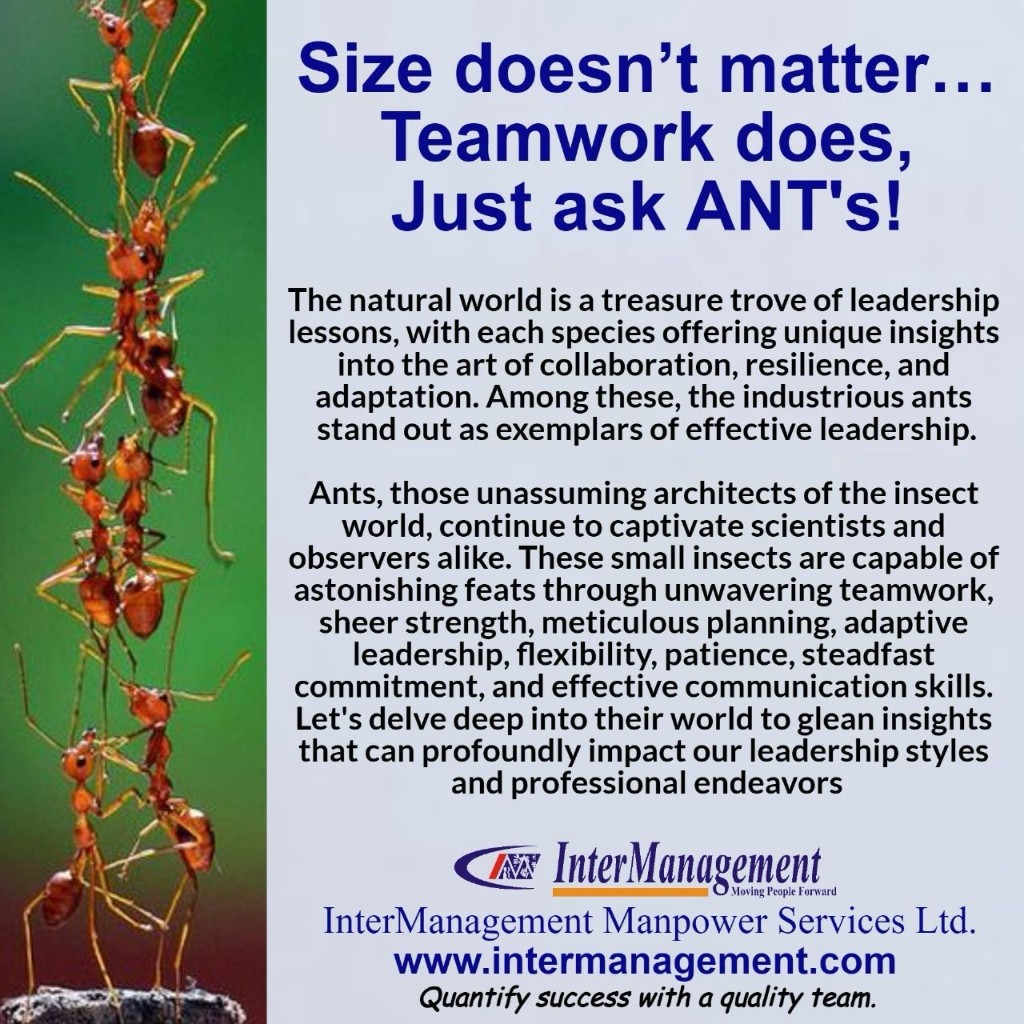 Size does not matter. Teamwork does.